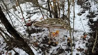 КАК РАБОТАЮТ ЛОВУШКИ... Я ЭТО ЗАСНЯЛ!! Easy Bird Trap! Аnimal Trap / В КАКУЮ ЛОВУШКУ ПОЙДЕТ ФАЗАН??