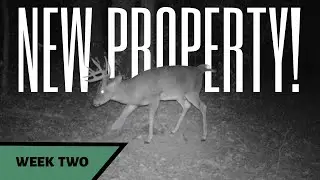 Bucks are shifting! (Finally) | Week 2