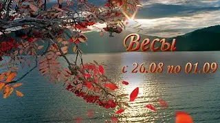 Весы Таро прогноз на неделю с 26.08 по 01.09.2024 года.