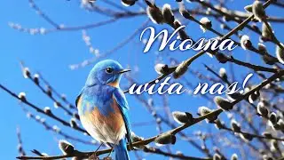 Wiosna wita nas! 🌼🌷🌺😊👍