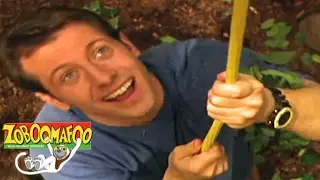 🐒 Zoboomafoo 121 - Giants | HD | Full Episode 🐒