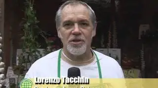 olio arquà 2014