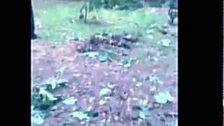 Ukraine Lugansk in the aftermath part 2
