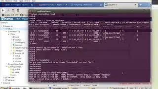 10. postgreSQL -  template1 drop