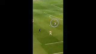 A Masterpiece from Lord Linggardinho 🐐 🔥