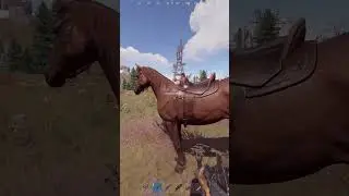 Когда ТВОЕ  Кунг-фу СИЛЬНЕЕ КАЛАША :D #rust  #shorts  #shortvideo