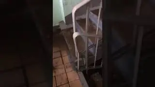 Потоп тот же,часть 2