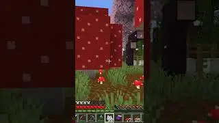 #minecraft