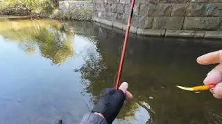 Fishing spots on the Fox River