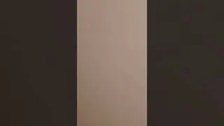жвачки удаляют голод😋