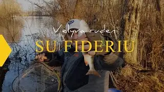 Kablys. Su fideriu vėlyvą rudenį – rezultatai gali pranokti lūkesčius 2020.11.27