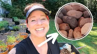 How to create a rock border edges around garden beds using river rocks
