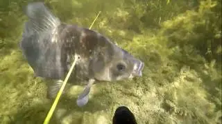 Что скрывают раскаты Волги и Каспийское море