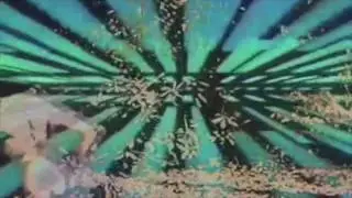 Death Spells - why is love so disastrous? [Official Video]