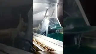 Car Chemical (Acid) Dipping