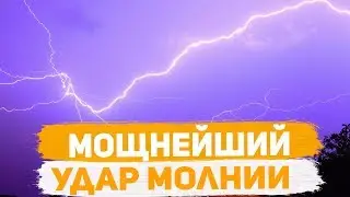 Удар молнии / мышь обманщица / аквамэн в аквариуме