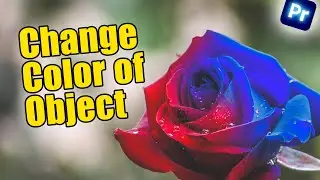 How To Change Object Color In Adobe Premiere Pro | Tutorial
