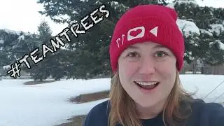 #TeamTrees