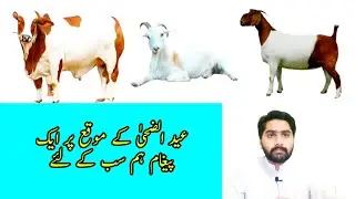 Eid Ul Azha ke mauke per eik paigam Hum sab ke liye