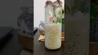 Day 5th of making Sourdough starter, will upload the process soon... #shorts #viral #youtubeshorts