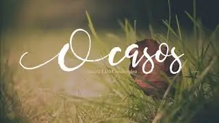Ocasos | Lilia Areli | LLDM