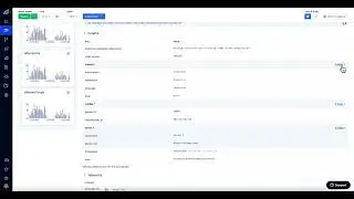 Rollbar Item Detail Overview and Usage