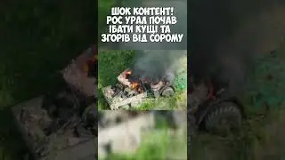 ЗГОРІВ ВІД СОРОМУ #україна #война #жиза #калуш #війна #контрнаступ