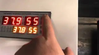 00010