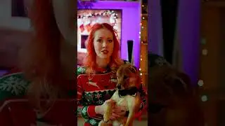 Новогоднее поздравление от Paprika и Коржика 🎄🎊