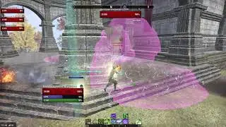 Stamina Warden PVP Build: Small Scale, No-Proc/ No-CP
