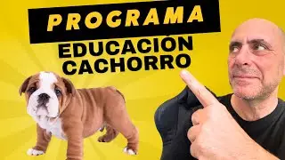 "Así es mi Guía Paso a Paso para Educar a tu Cachorro: Método Fácil y Eficaz"