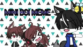 Mini boi meme
