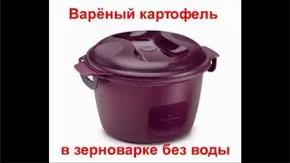 Картошка в зерноварке без воды