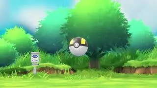 Full Shiny Pidgey Line Compilation