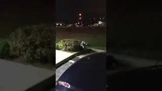 me and royal rolling into a bush we both got hurt