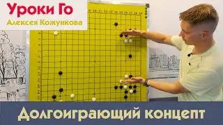 Долгоиграющий концепт