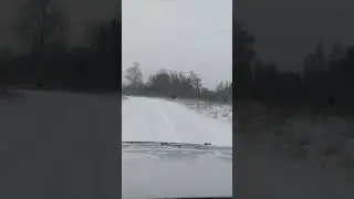 сахатые на дороге