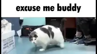 excuse me buddy