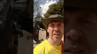 Памятник тёще