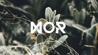 EMMI IIDA - Blooming (Robot Koch Remix)