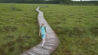 Сестрорецкое болото