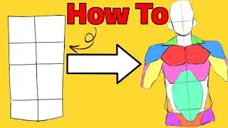 How to Draw Male Anatomy