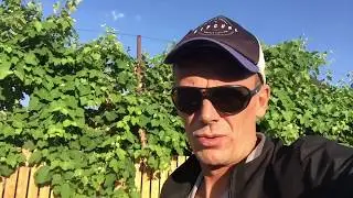 ЮРА ЕДЕТ НА МОРЕ В РОССИИ И ПЕРВЫЕ ВПЕЧАТЛЕНИЯ ОТ АДЛЕРА, ЖИЛЬЁ В АДЛЕРЕ, ЦЕНЫ В СОЧИ