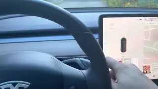 How to put Tesla Model 3 and Y in neutral