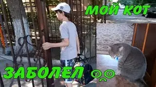 Грей заболел ๏̯͡๏ идем к ветеринару