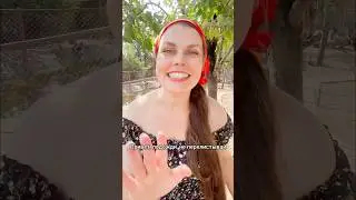 Подпишись ❤️ 