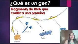 GENES AND GENOME ORGANIZATION OF AN ORGANISM