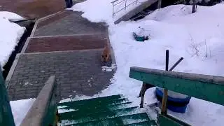 Кунашир. Горячий пляж