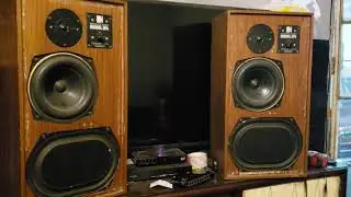 Kef 104