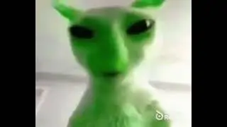 green alien cat